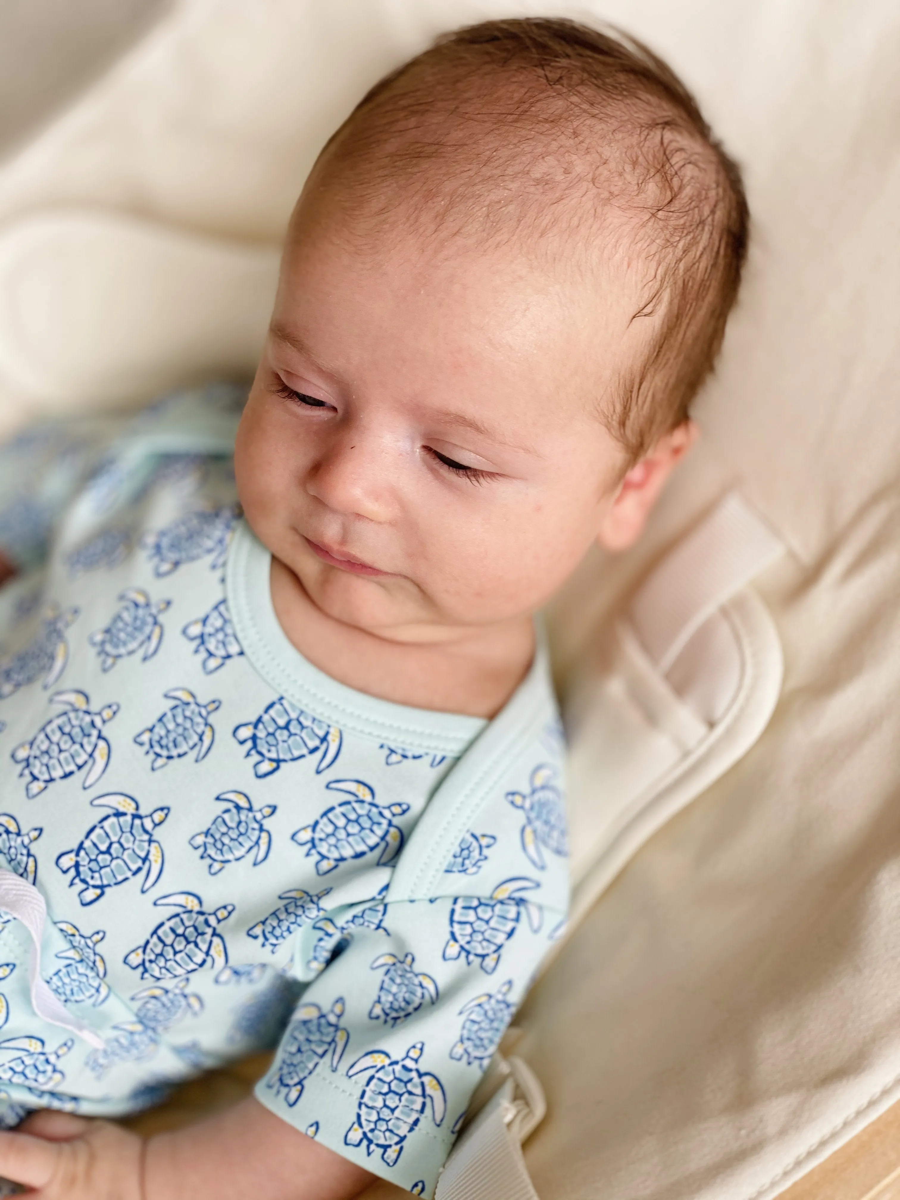 Blue Sea Turtle Short Sleeve Onesie