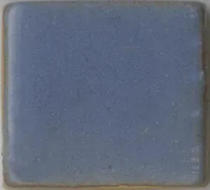 Blue Shino 043