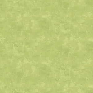 Canvas Kiwi Fabric Yardage