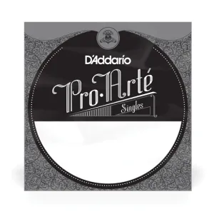 D'Addario J4304 Pro-Arte Rectified Single Classical Guitar String - D, Light