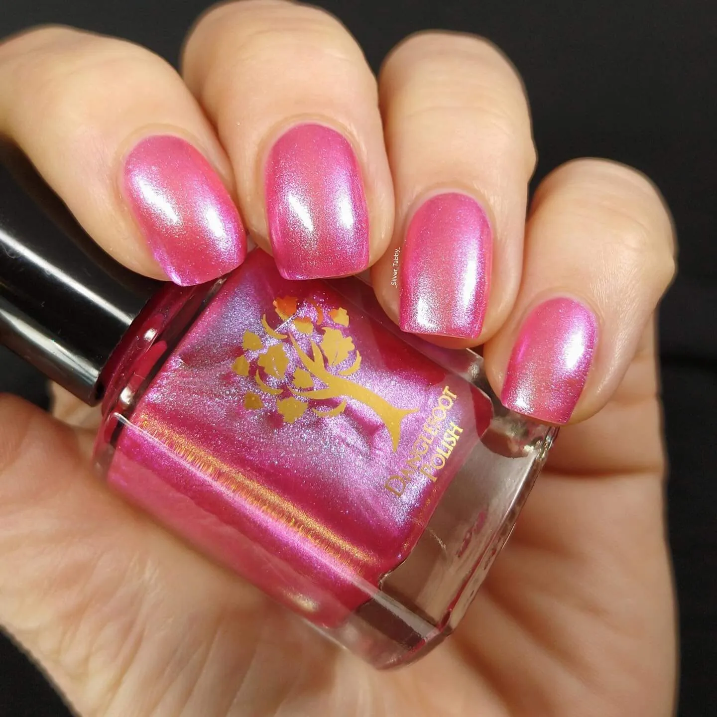 Danglefoot Polish - Movie/TV Quotes - Sublime!