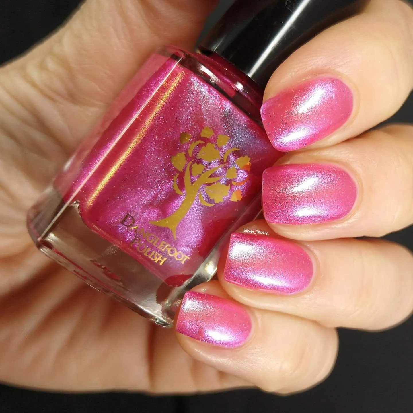 Danglefoot Polish - Movie/TV Quotes - Sublime!