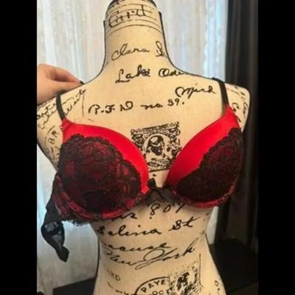 Elegant Red Lace Plunge Bra - A Touch of Romance
