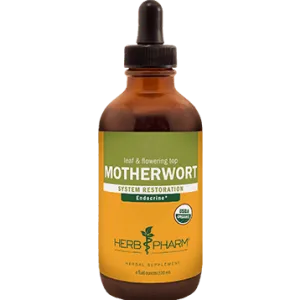 Motherwort/Leonurus cardiaca 4oz