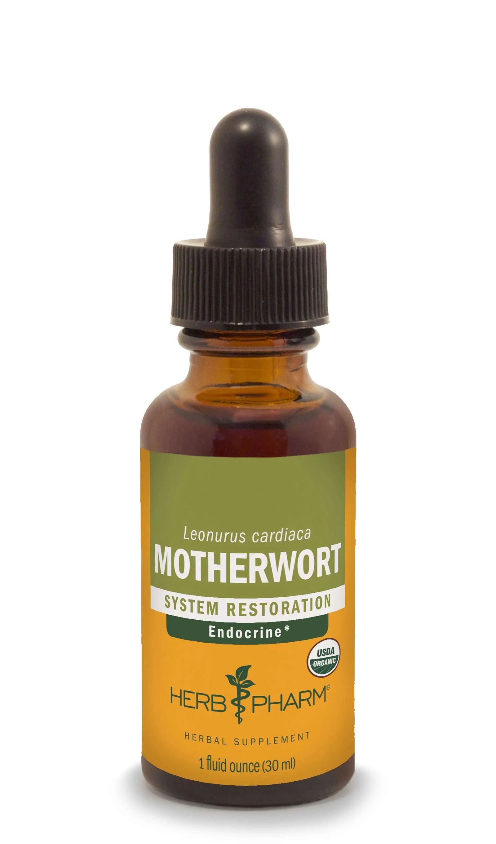 Motherwort/Leonurus cardiaca