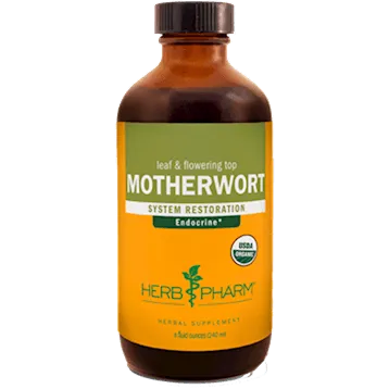 Motherwort/Leonurus cardiaca