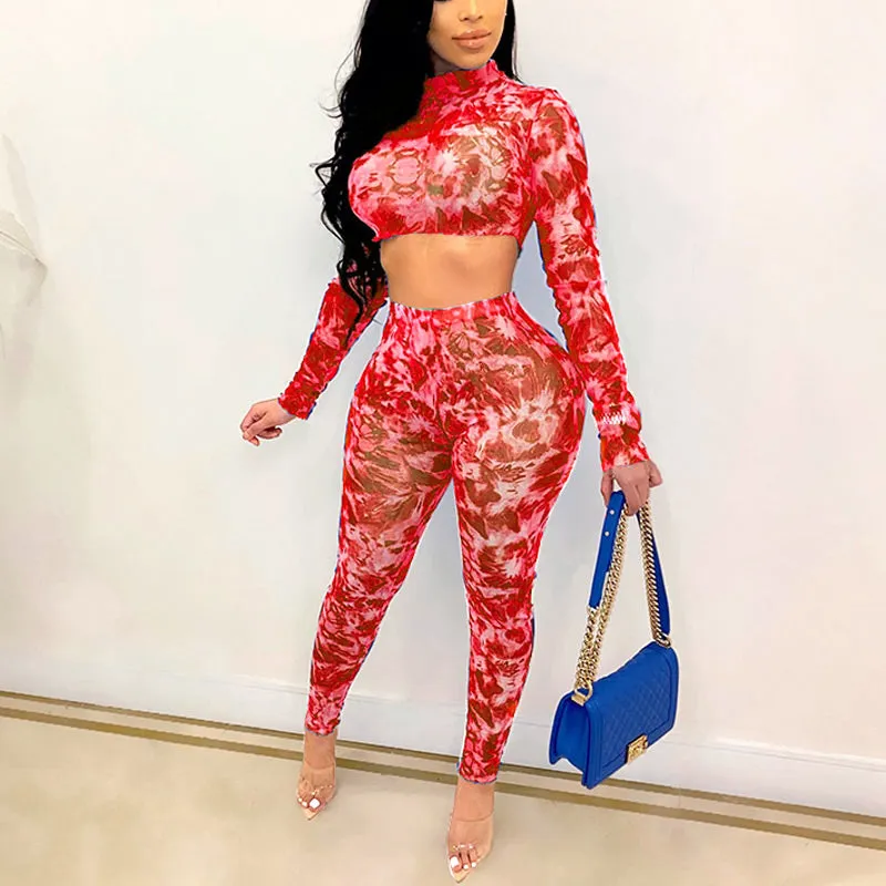 Print Long Sleeve Crop Top & Pants Set